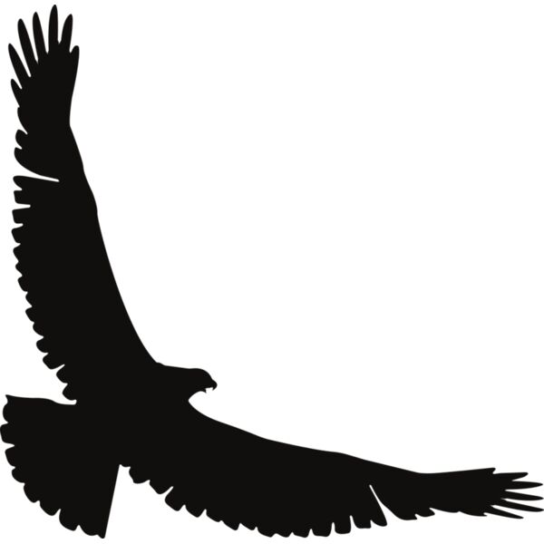 Eagle   Clipart 2 Thumbnail