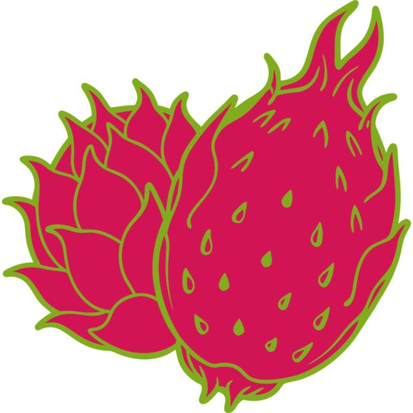 Dragon Fruit Thumbnail